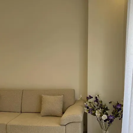 Nos 1 Shkodër